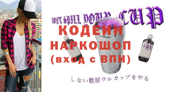 индика Баксан