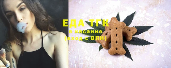 индика Баксан