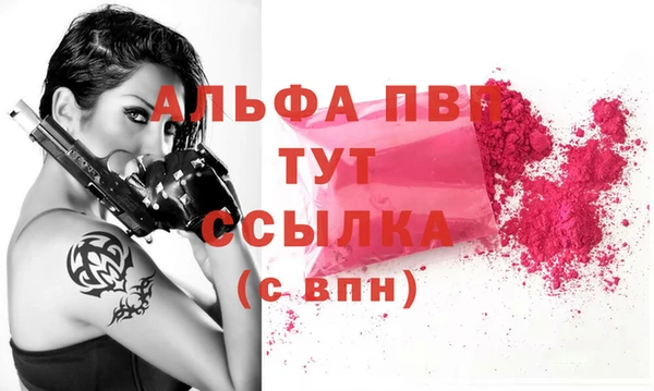 индика Баксан