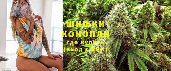 индика Баксан