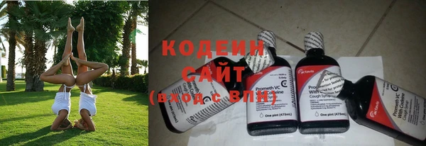 индика Баксан